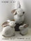 Kleiner dekorativer Kaninchen-Garten verziert Tiere für Haus/Hof fournisseur
